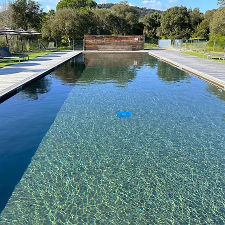 T2 Pieds Dans L'eau Santa Giulia Porto-Vecchio (Corsica)