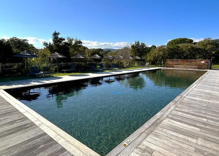 Appartement T2 Pieds Dans L'eau Santa Giulia *